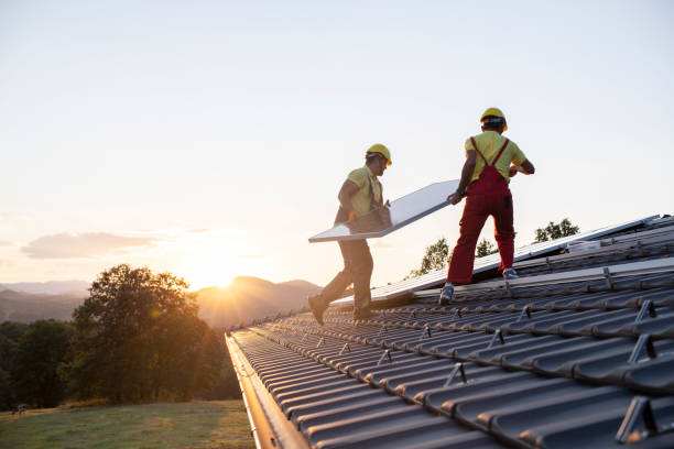 Best Asphalt Shingles Roofing  in Webberville, MI