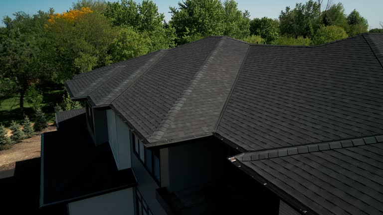 Best Commercial Roofing Services  in Webberville, MI