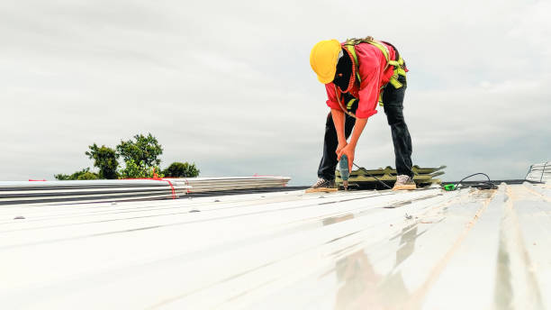 Best Wood Shake Roofing  in Webberville, MI