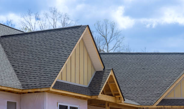 Best Asphalt Shingle Roofing  in Webberville, MI